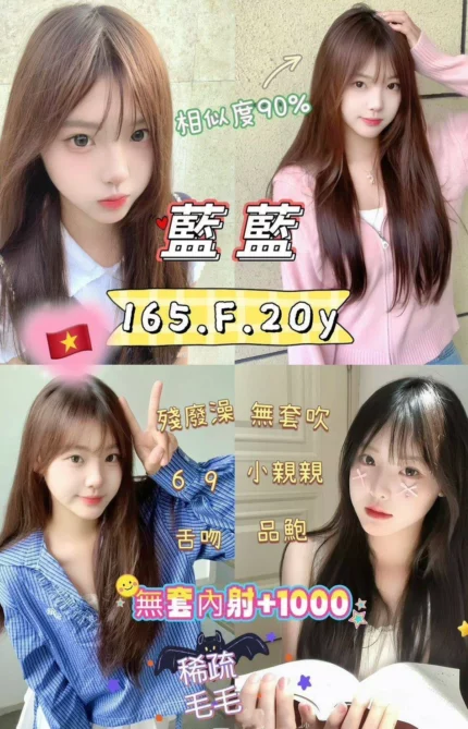 新北定點茶-藍藍/165/52/20/F