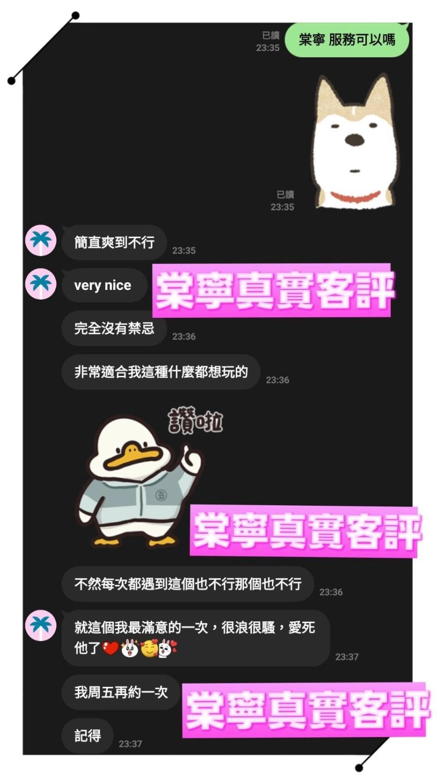 桃園定點茶-棠寧/156/45/21/D 桃園定點茶-棠寧/156/45/21/D