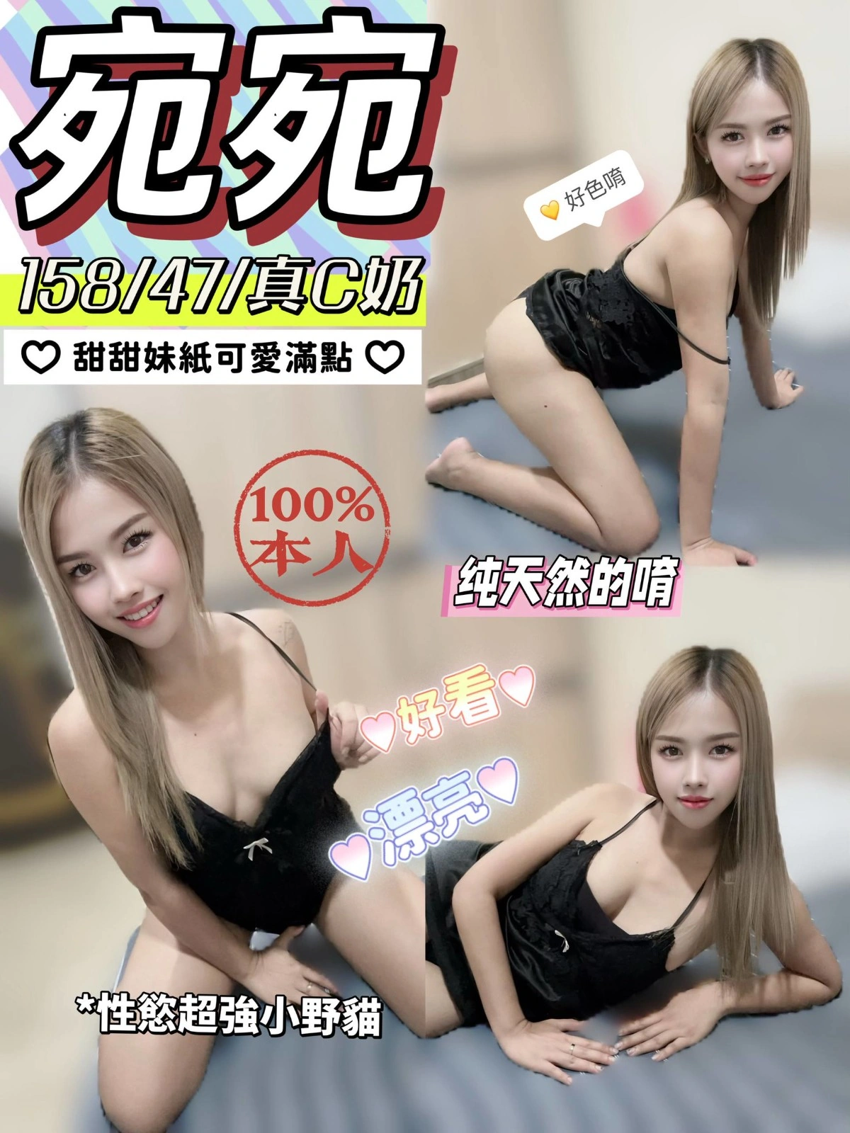 台中定點茶-宛宛/158/47/?/C 台中定點茶-宛宛/158/47/?/C