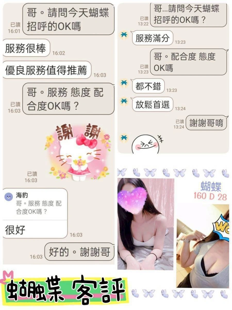 台北定點茶-蝴蝶/160/?/28/D 台北定點茶-蝴蝶/160/?/28/D