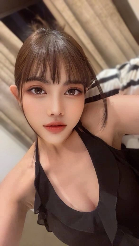 台北定點茶-多樂/163/45/23/C 台北定點茶-多樂/163/45/23/C