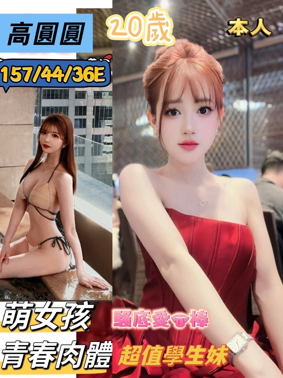 台南定點茶-高圓圓/157/44/20/E 台南定點茶-高圓圓/157/44/20/E