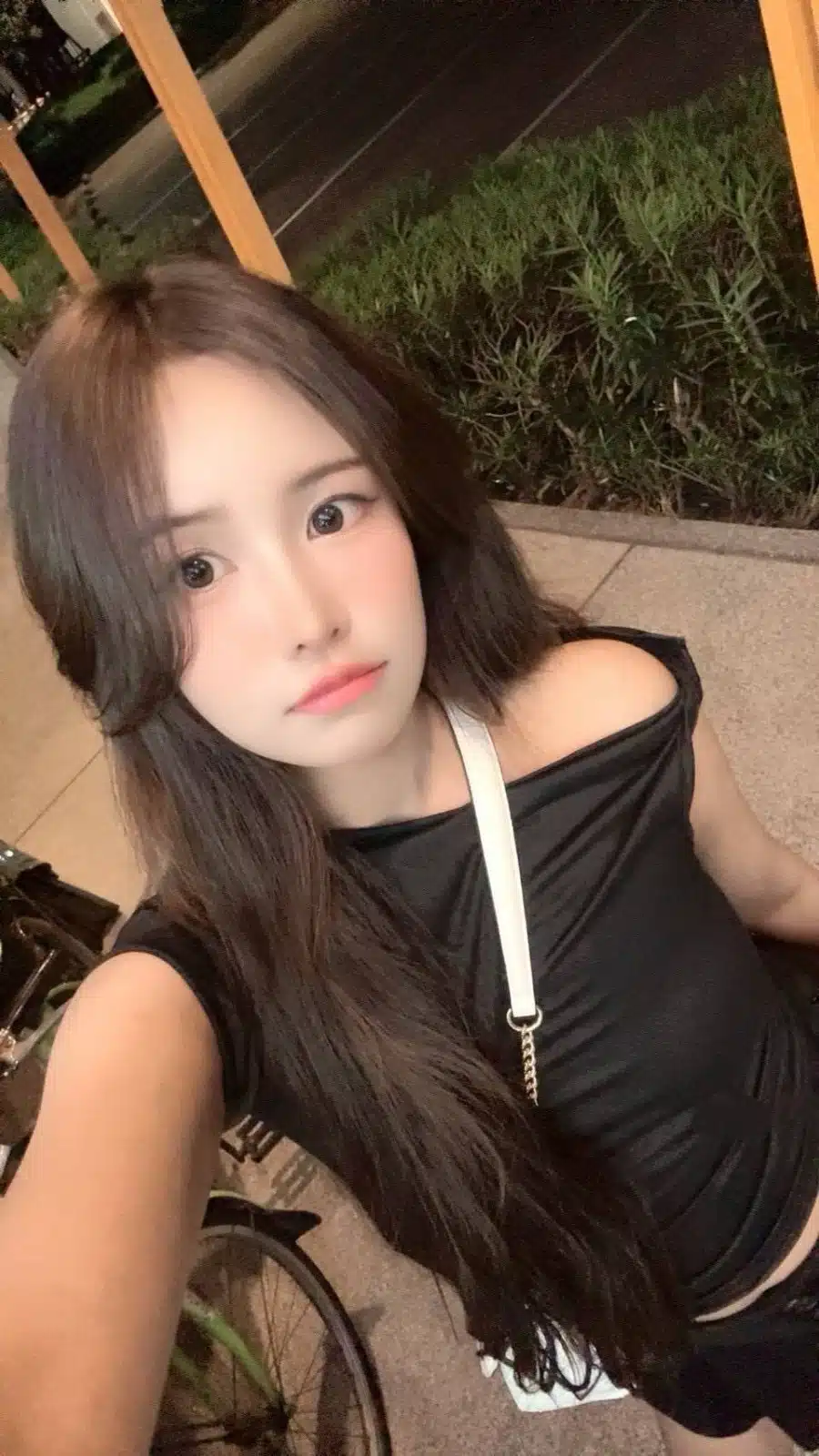 桃園定點茶-霹靂拉拉/165/48/23/C 桃園定點茶-霹靂拉拉/165/48/23/C