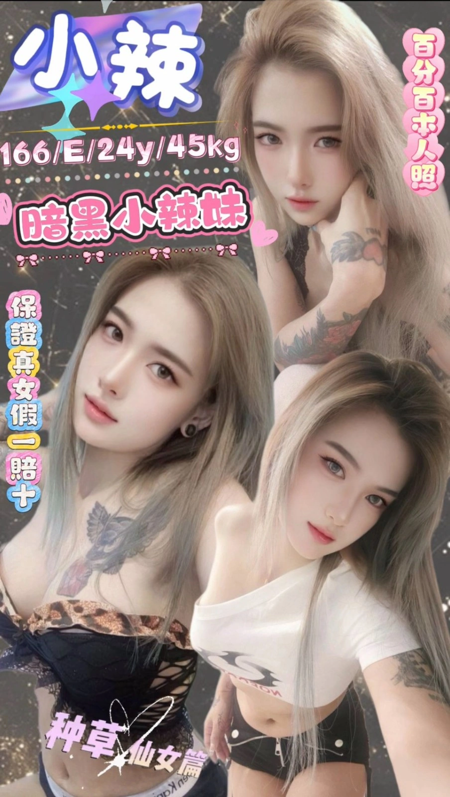 台北定點茶-小辣/166/45/24/E 台北定點茶-小辣/166/45/24/E