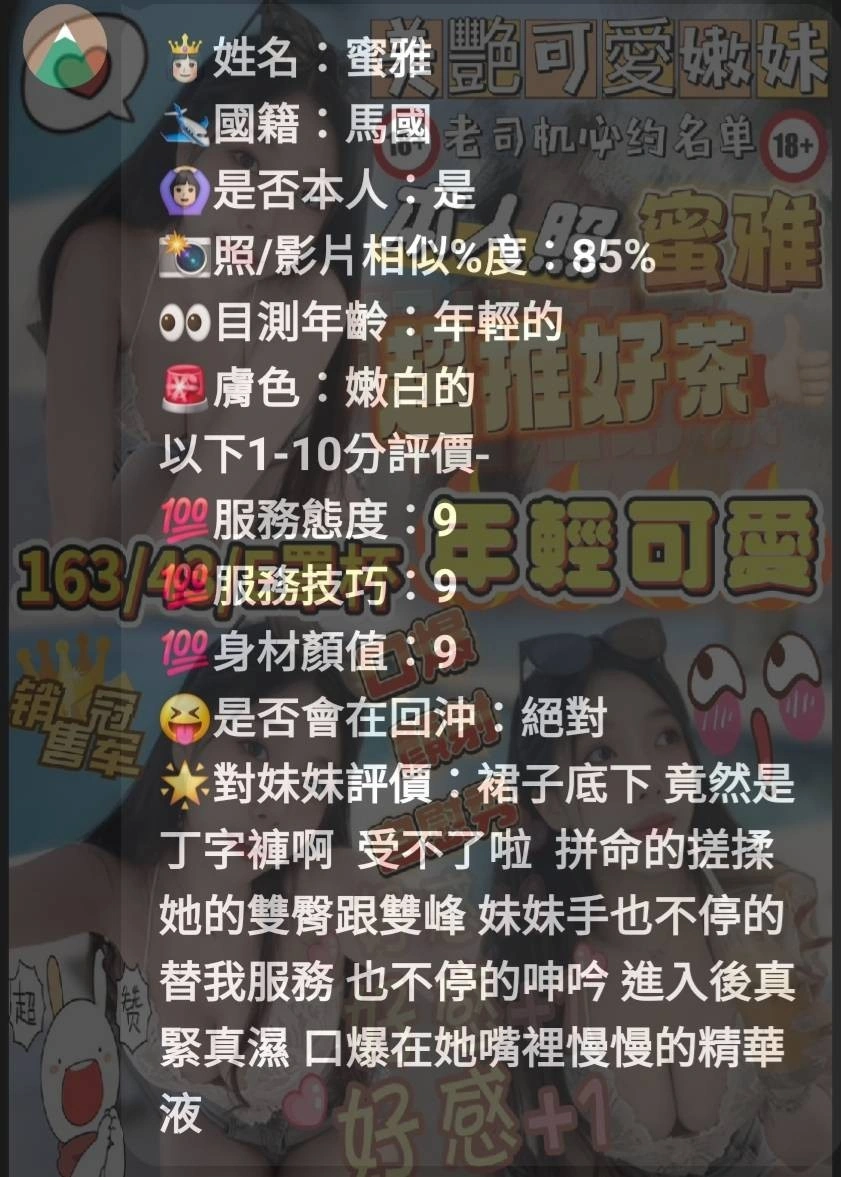 新竹定點茶-蜜雅/163/43/?/E 新竹定點茶-蜜雅/163/43/?/E