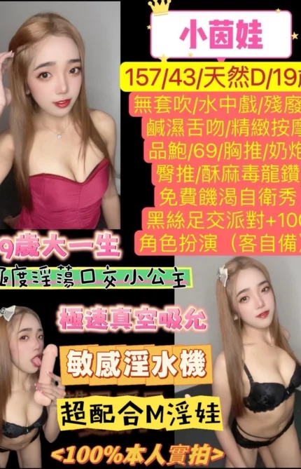 新北定點茶-小茵娃/157/43/19/D