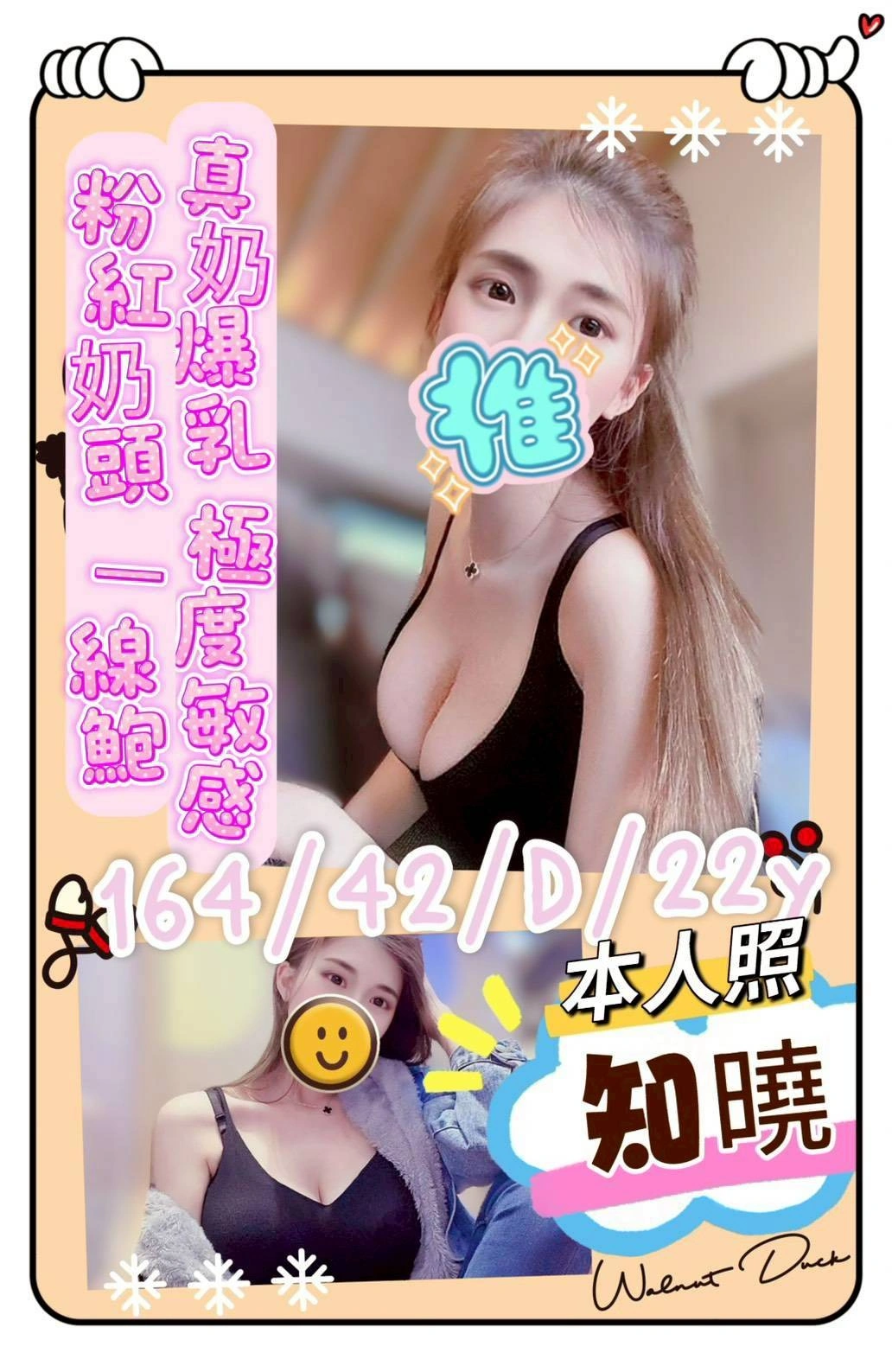 台南定點茶-知曉/164/42/22/D 台南定點茶-知曉/164/42/22/D