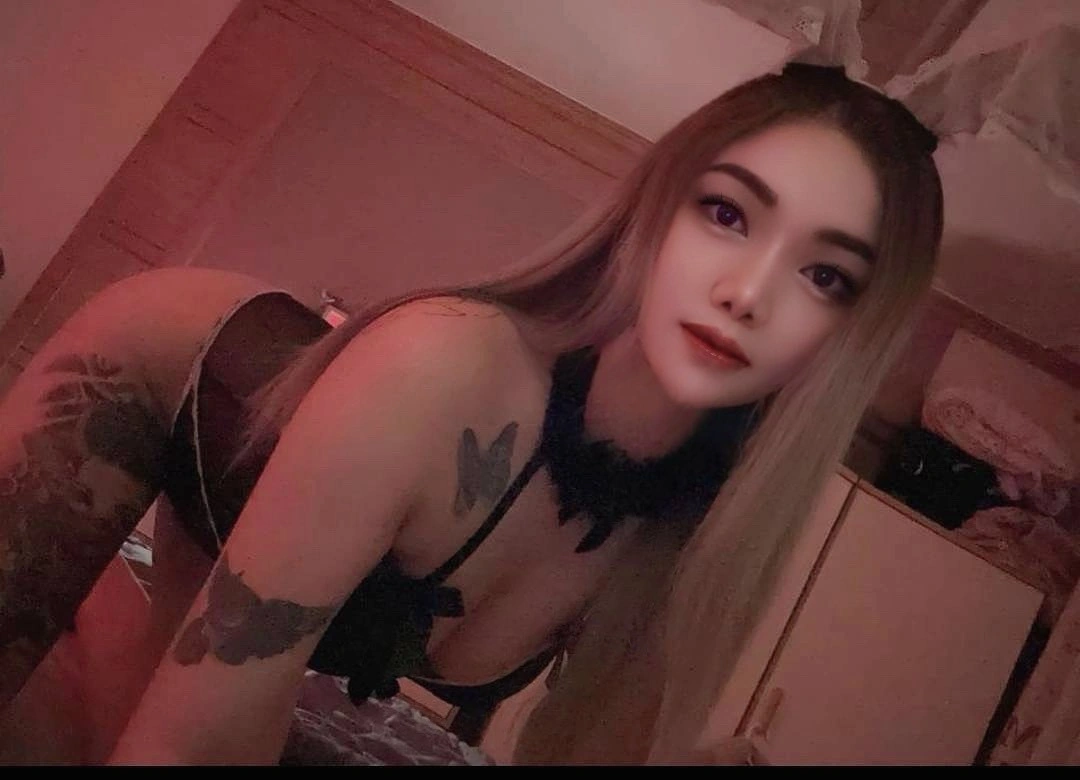 台北定點茶-潘妮/162/48/24/D 台北定點茶-潘妮/162/48/24/D