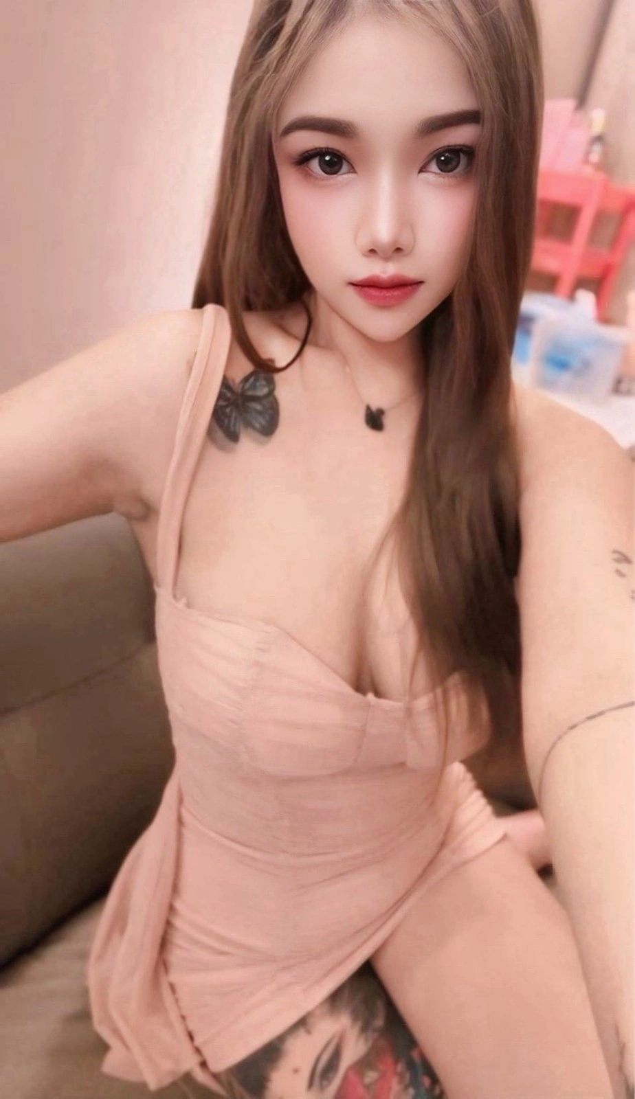 台北定點茶-潘妮/162/48/24/D 台北定點茶-潘妮/162/48/24/D
