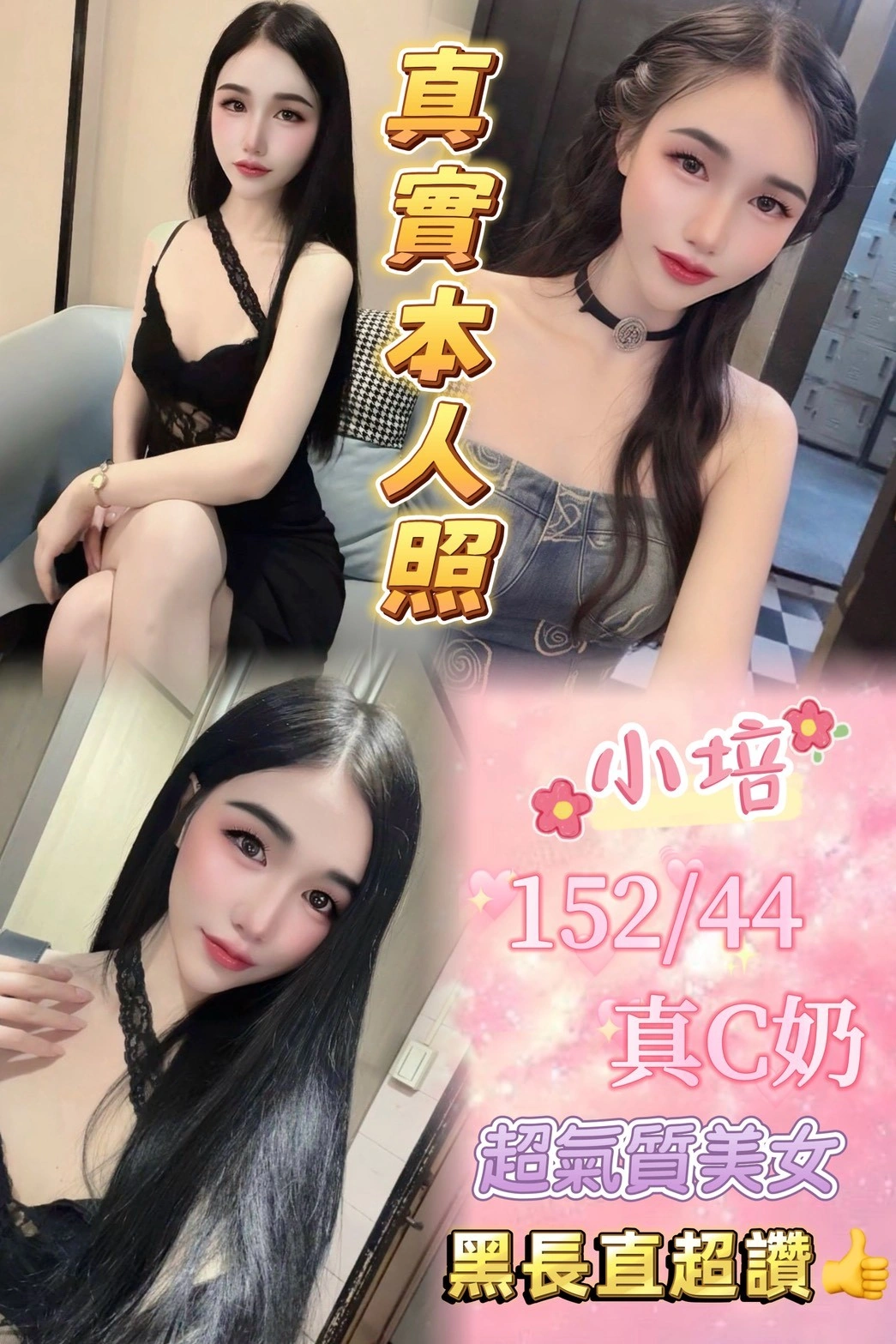 台北定點茶-小培/152/44/23/C 台北定點茶-小培/152/44/23/C