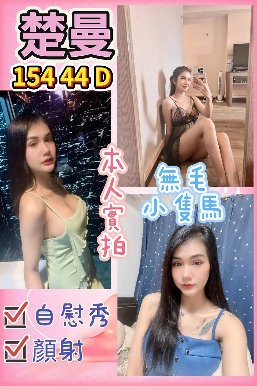 桃園定點茶-楚曼/154/44/?/D 桃園定點茶-楚曼/154/44/?/D