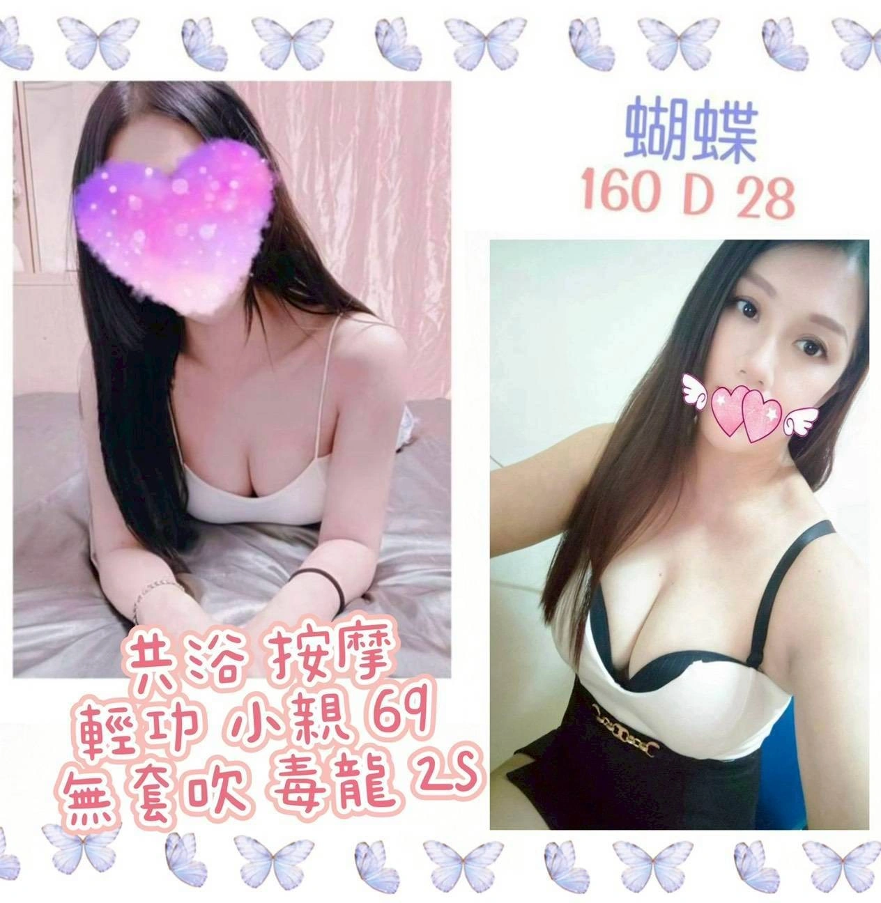 台北定點茶-蝴蝶/160/?/28/D 台北定點茶-蝴蝶/160/?/28/D