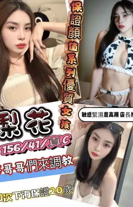 新竹定點茶-梨花/156/41/20/C