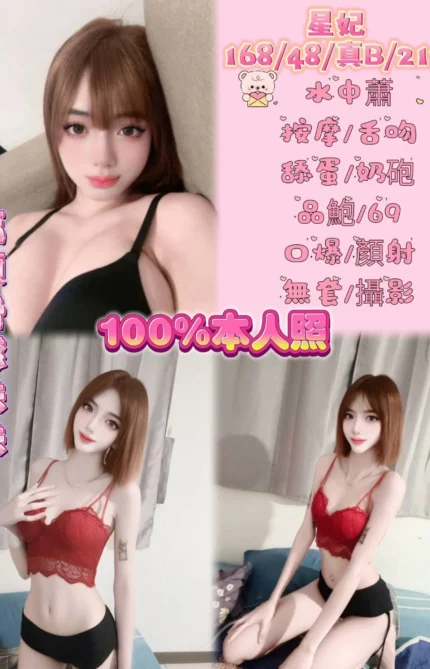 新北定點茶-星妃/168/48/21/B
