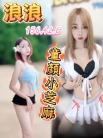 高雄定點茶-浪浪/156/42/?/C