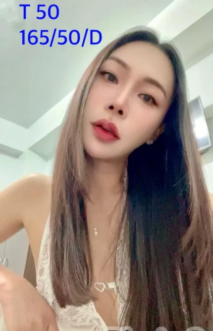 嘉義定點茶-T50/165/50/?/D