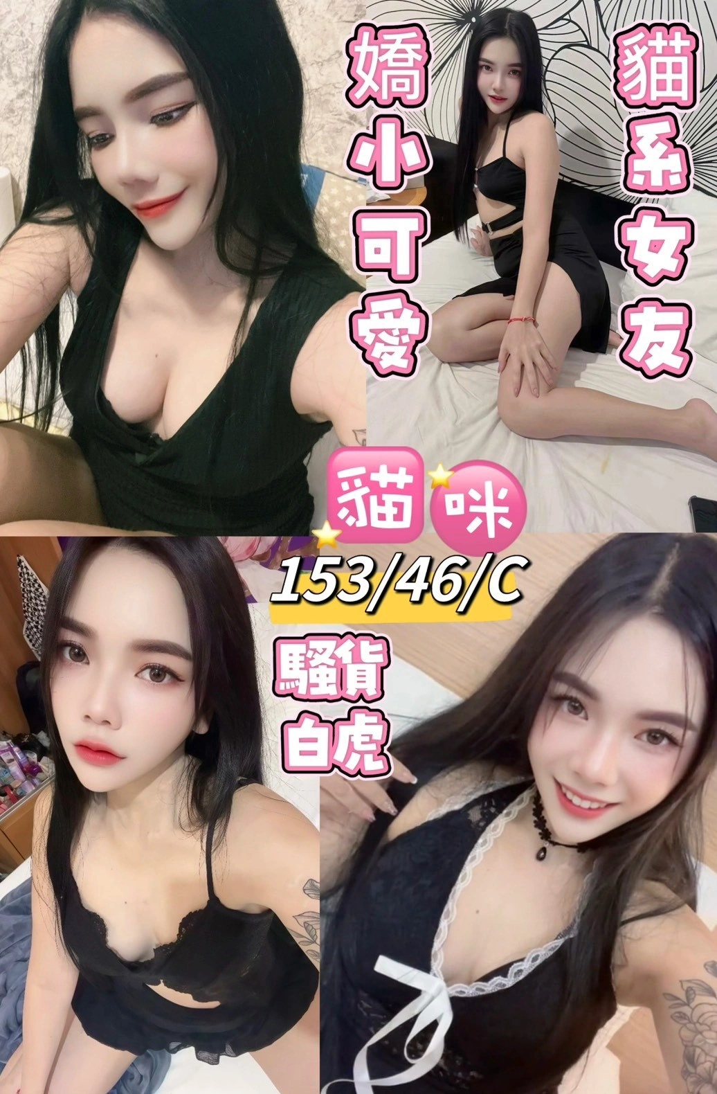 花蓮定點茶-貓咪/153/46/24/C 花蓮定點茶-貓咪/153/46/24/C