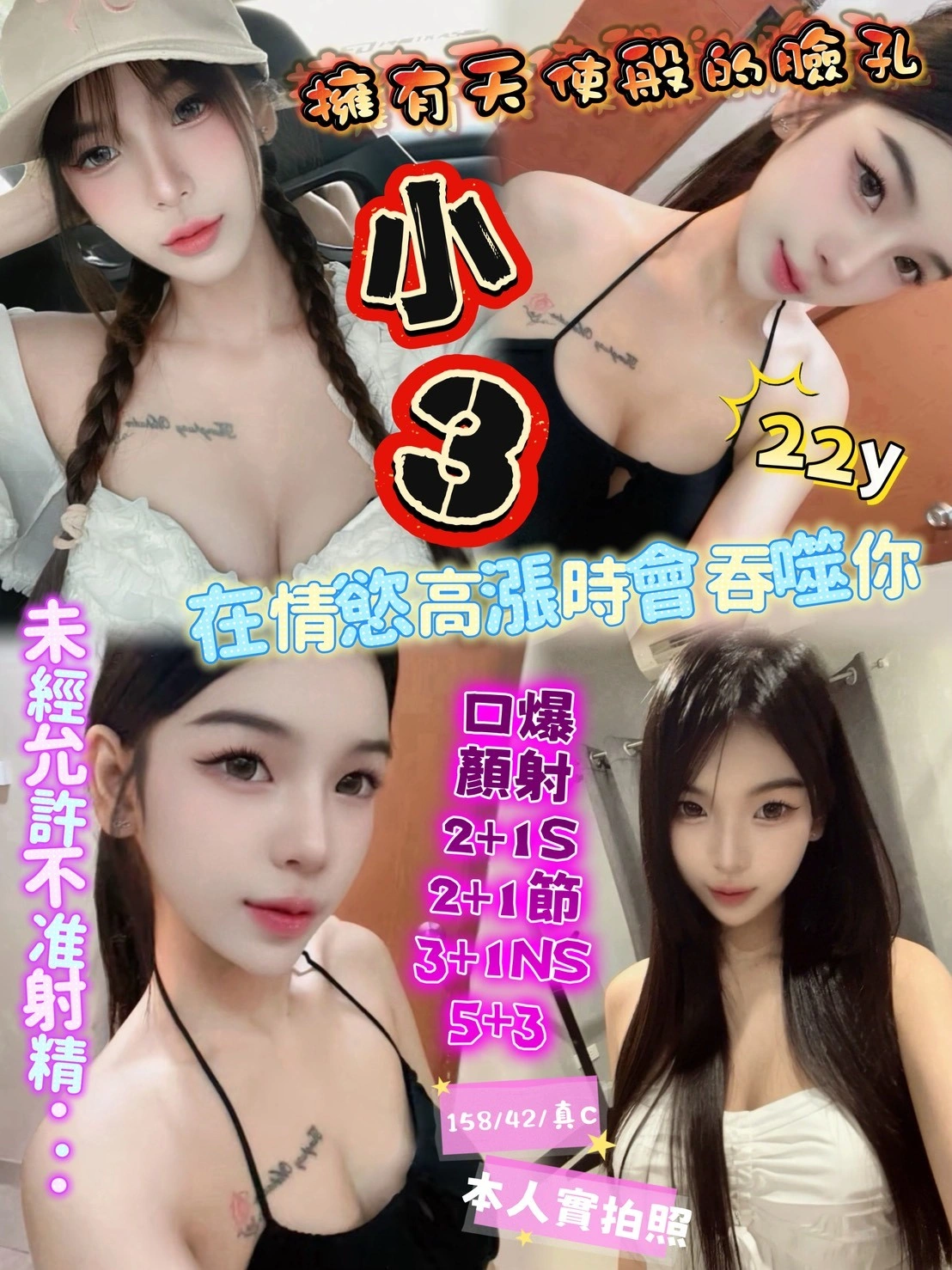 新竹定點茶-小3/158/42/22/C 新竹定點茶-小3/158/42/22/C