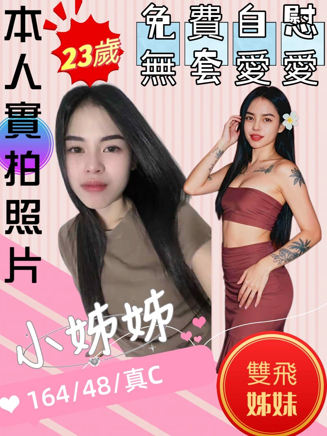 苗栗定點茶-小姊姊/164/48/23/C 苗栗定點茶-小姊姊/164/48/23/C