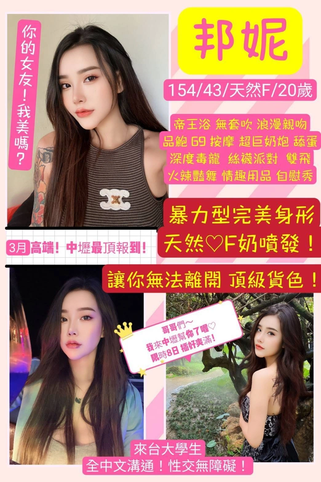 桃園定點茶-邦妮/154/43/20/F 桃園定點茶-邦妮/154/43/20/F