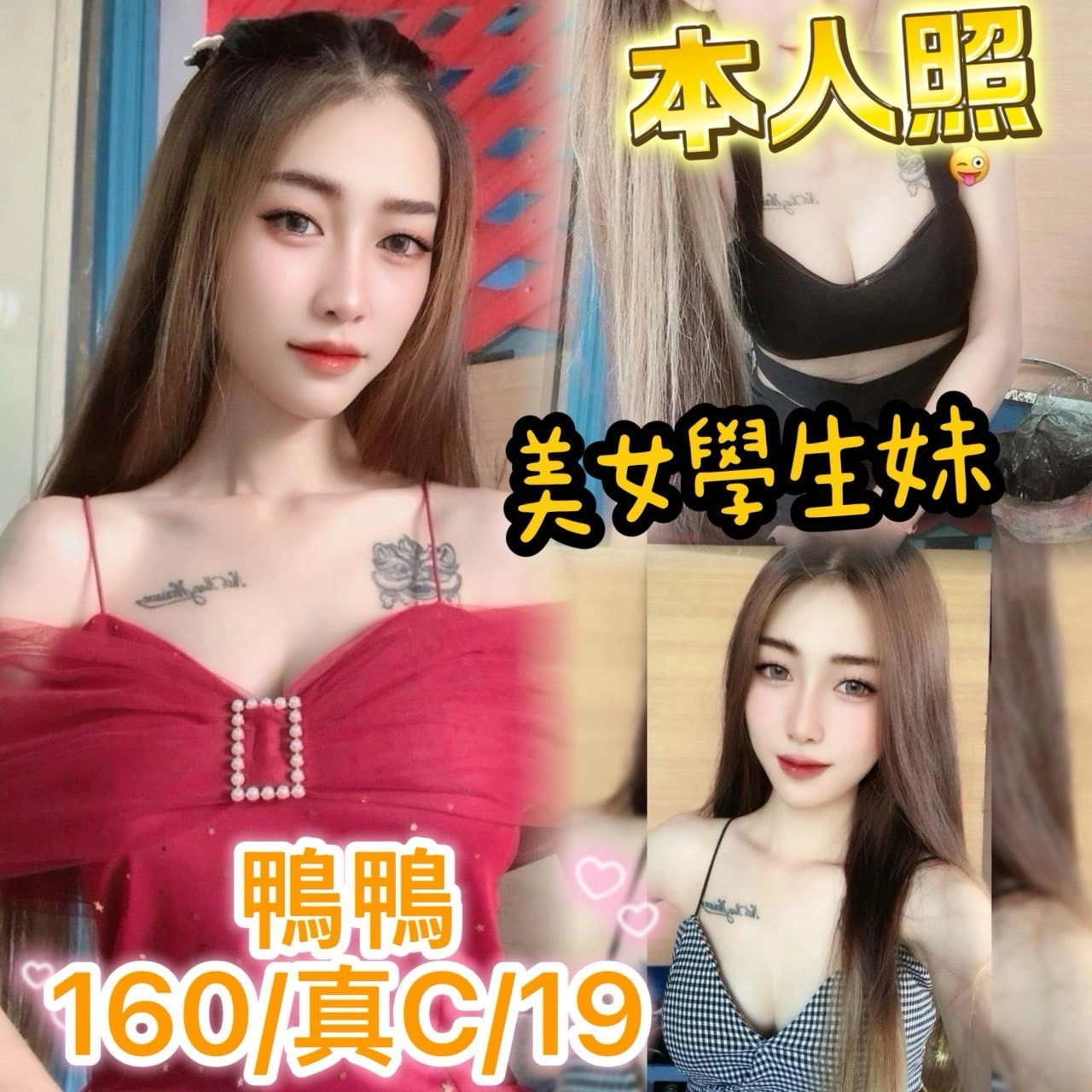 台中定點茶-鴨鴨/160/?/19/C 台中定點茶-鴨鴨/160/?/19/C