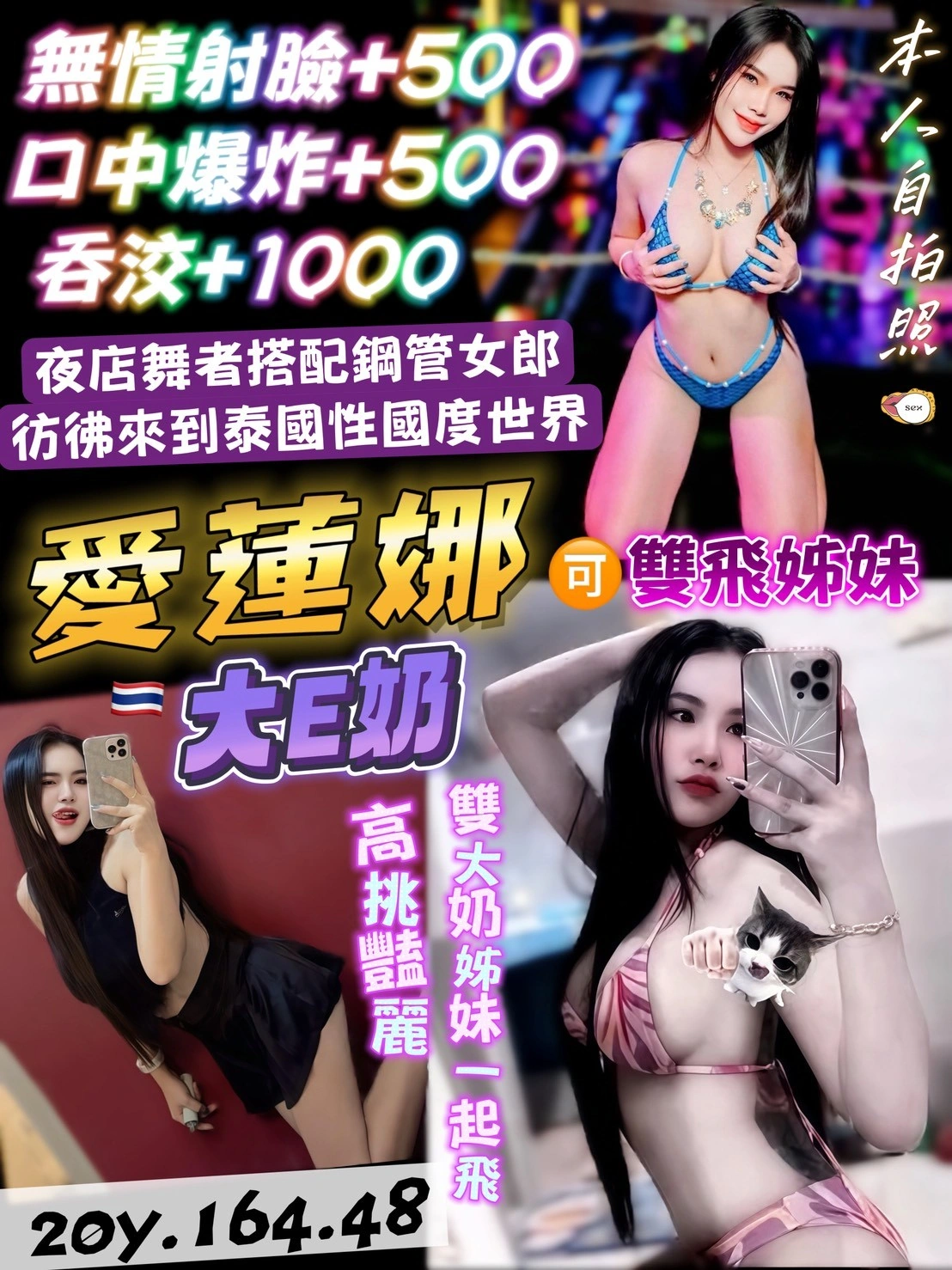 桃園定點茶-愛蓮娜/164/48/20/E 桃園定點茶-愛蓮娜/164/48/20/E