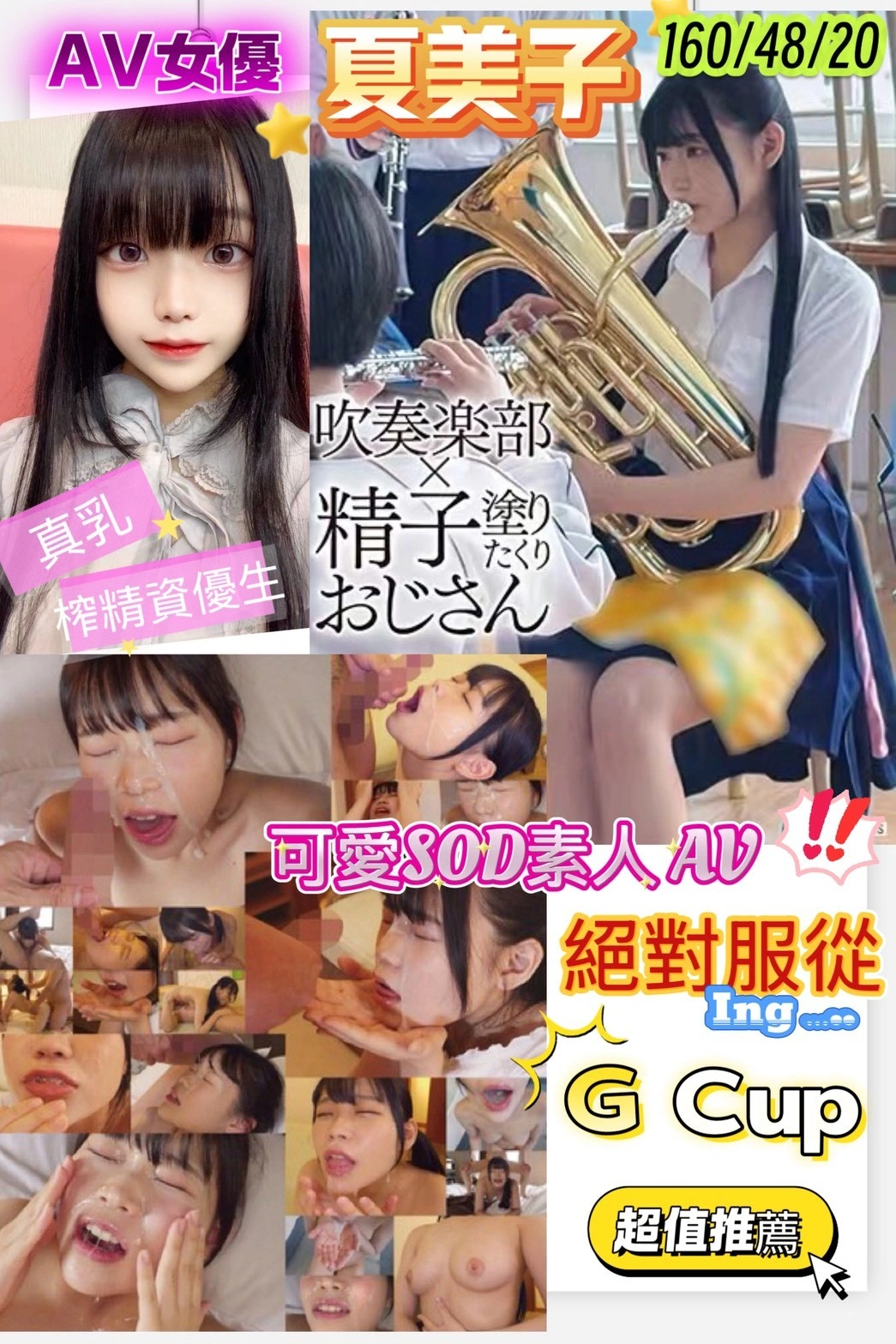 新竹定點茶-夏美子/160/48/20/G 新竹定點茶-夏美子/160/48/20/G