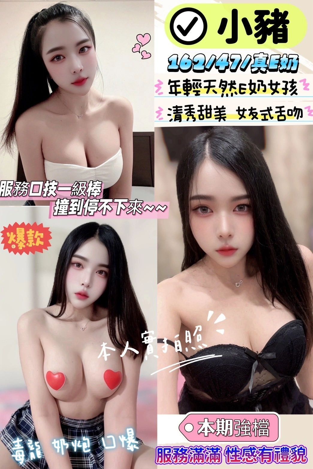 新竹定點茶-小豬/162/47/?/E 新竹定點茶-小豬/162/47/?/E