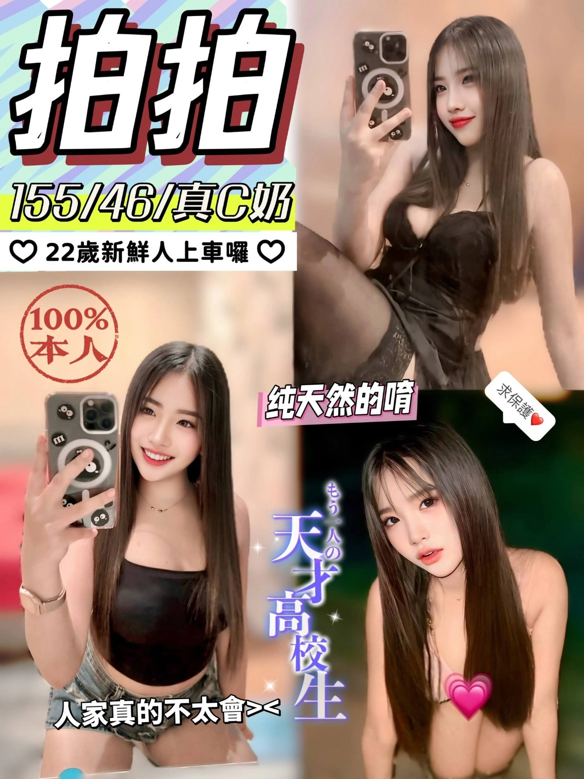 南投定點茶-拍拍/155/46/?/C 南投定點茶-拍拍/155/46/?/C