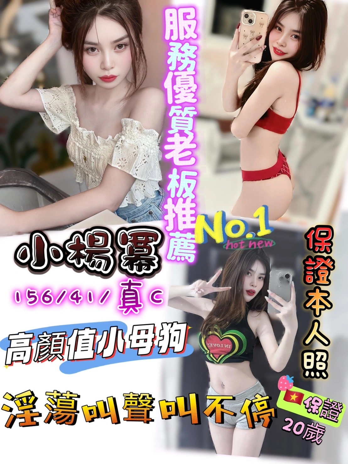 新竹定點茶-小楊冪/156/41/20/C 新竹定點茶-小楊冪/156/41/20/C