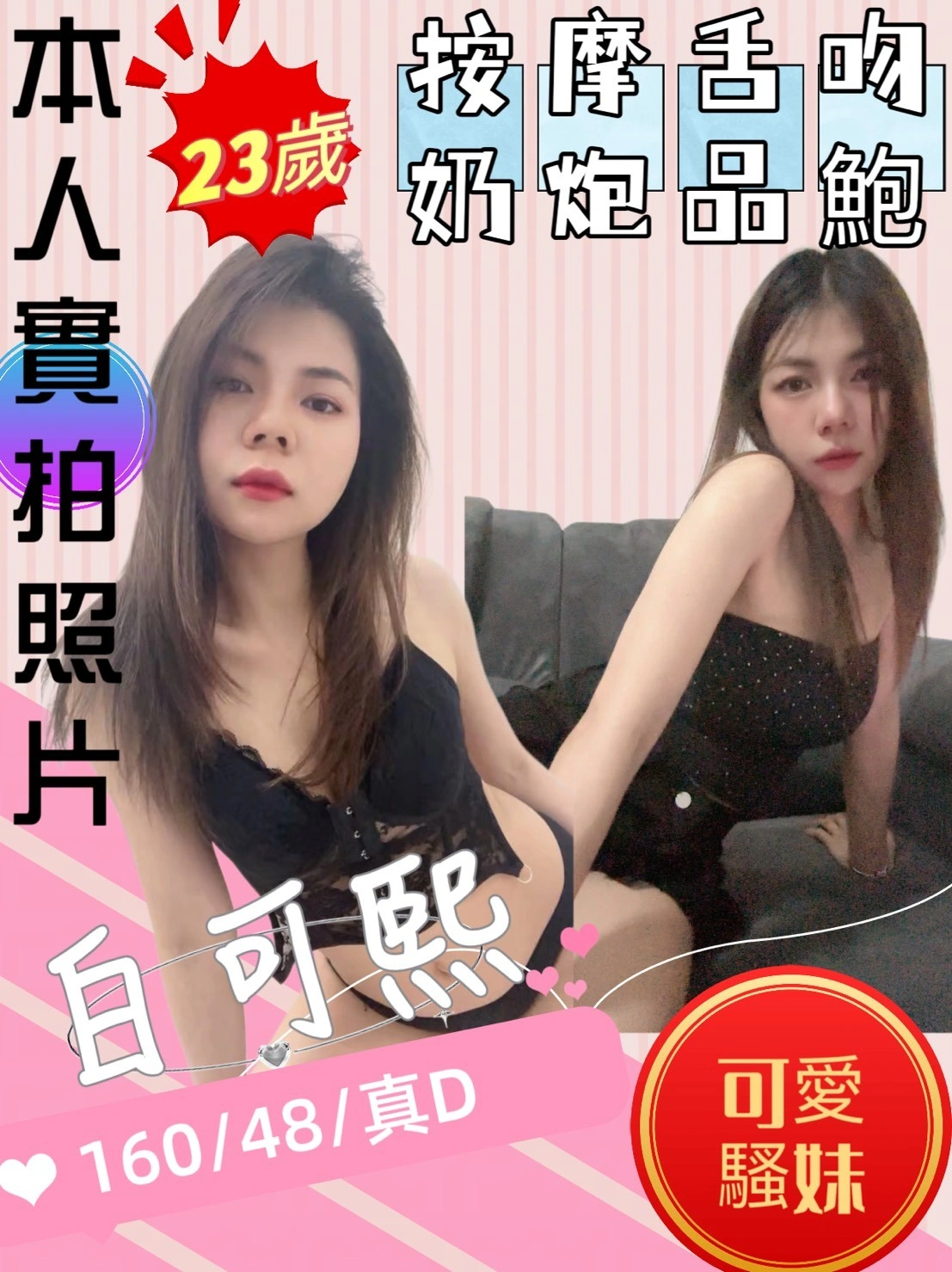 苗栗定點茶-白可熙/160/48/23/D 苗栗定點茶-白可熙/160/48/23/D