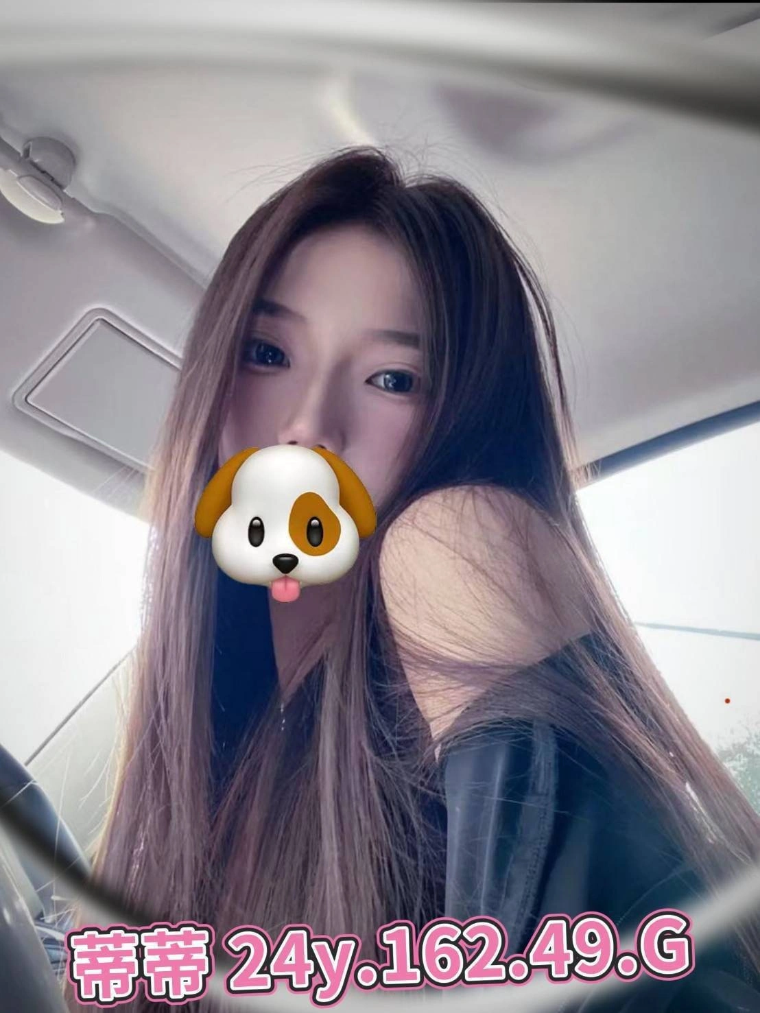 台北外送茶-蒂蒂/162/49/24/G 台北外送茶-蒂蒂/162/49/24/G