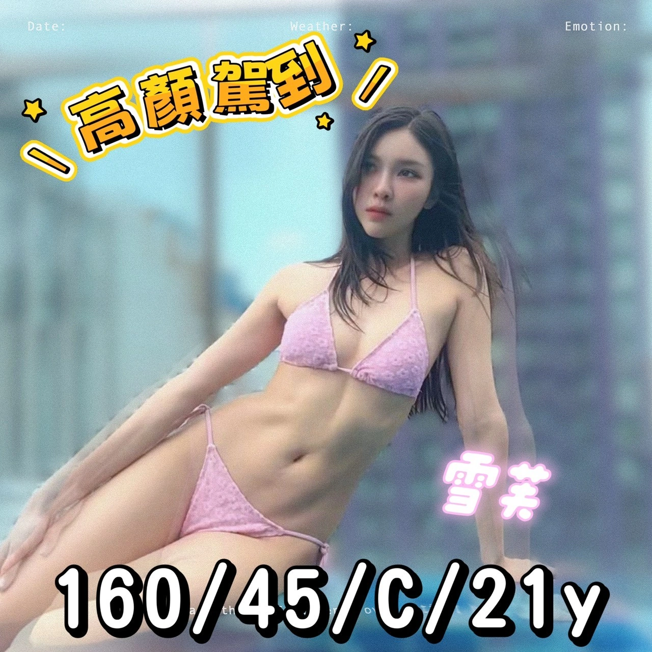 新北定點茶-雪芙/160/45/21/C 新北定點茶-雪芙/160/45/21/C