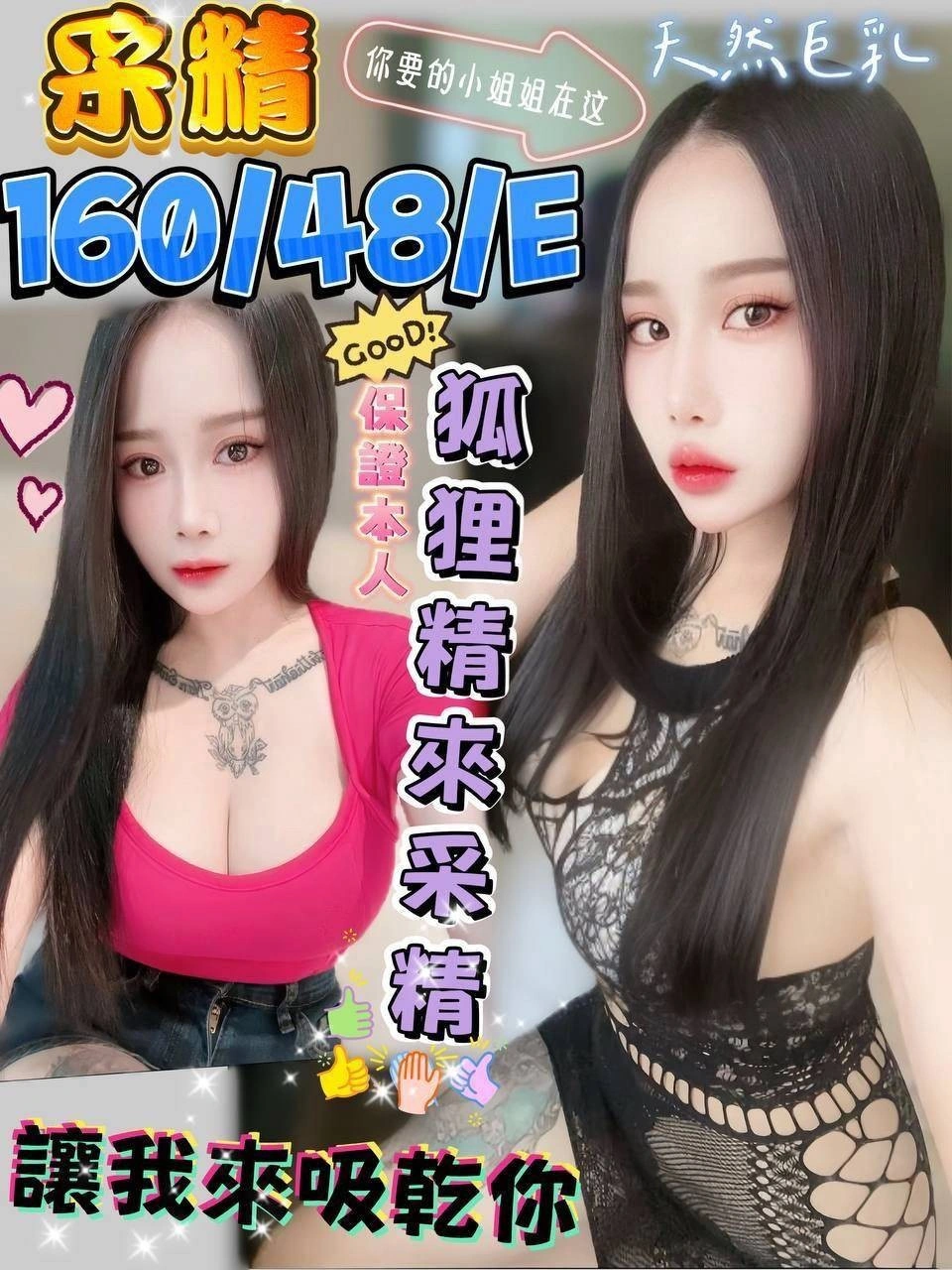 澎湖定點茶-采精/160/48/?/E 澎湖定點茶-采精/160/48/?/E