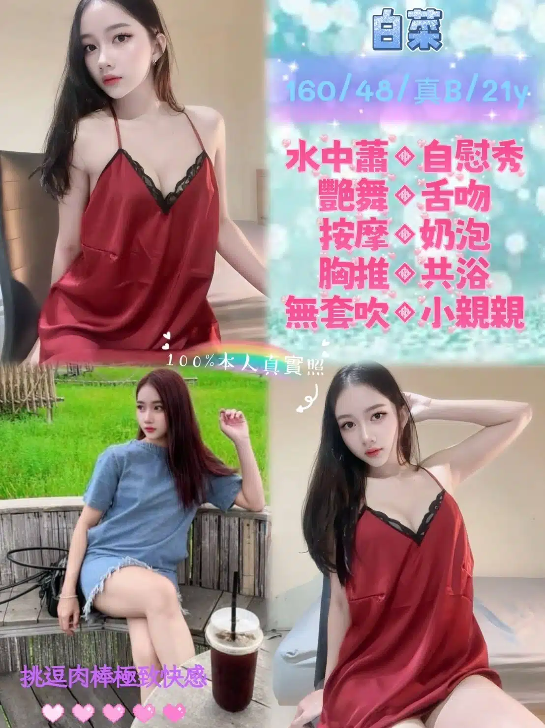 新北定點茶-白菜/160/48/21/B 新北定點茶-白菜/160/48/21/B