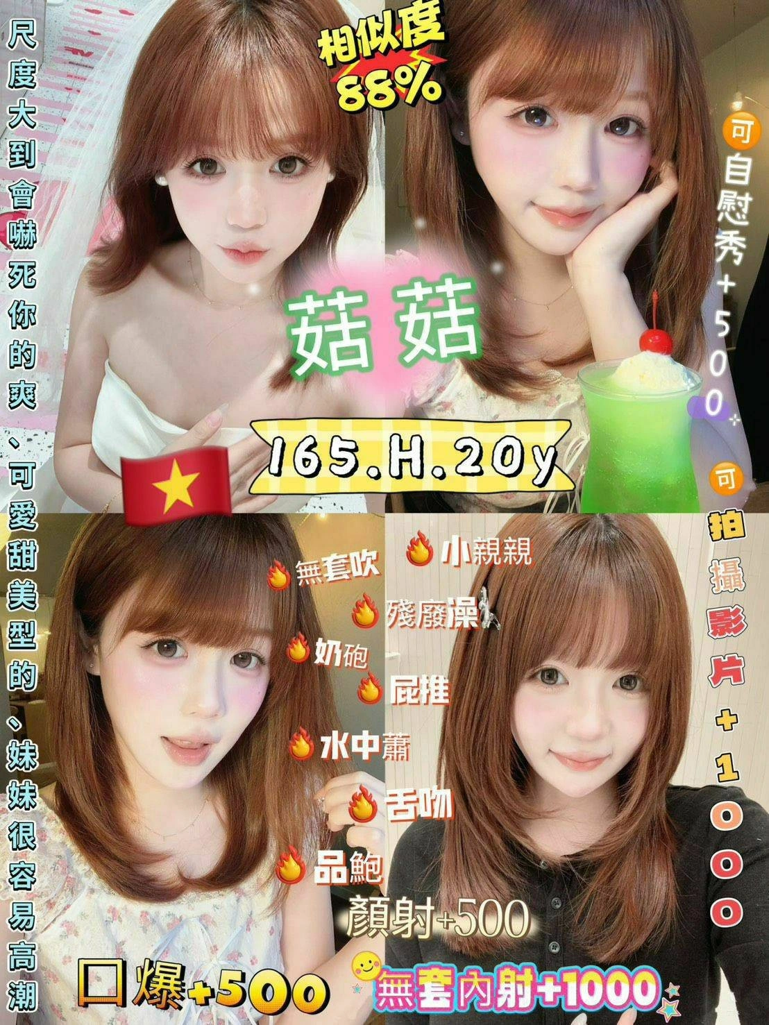 台北定點茶-菇菇/165/50/20/H 台北定點茶-菇菇/165/50/20/H