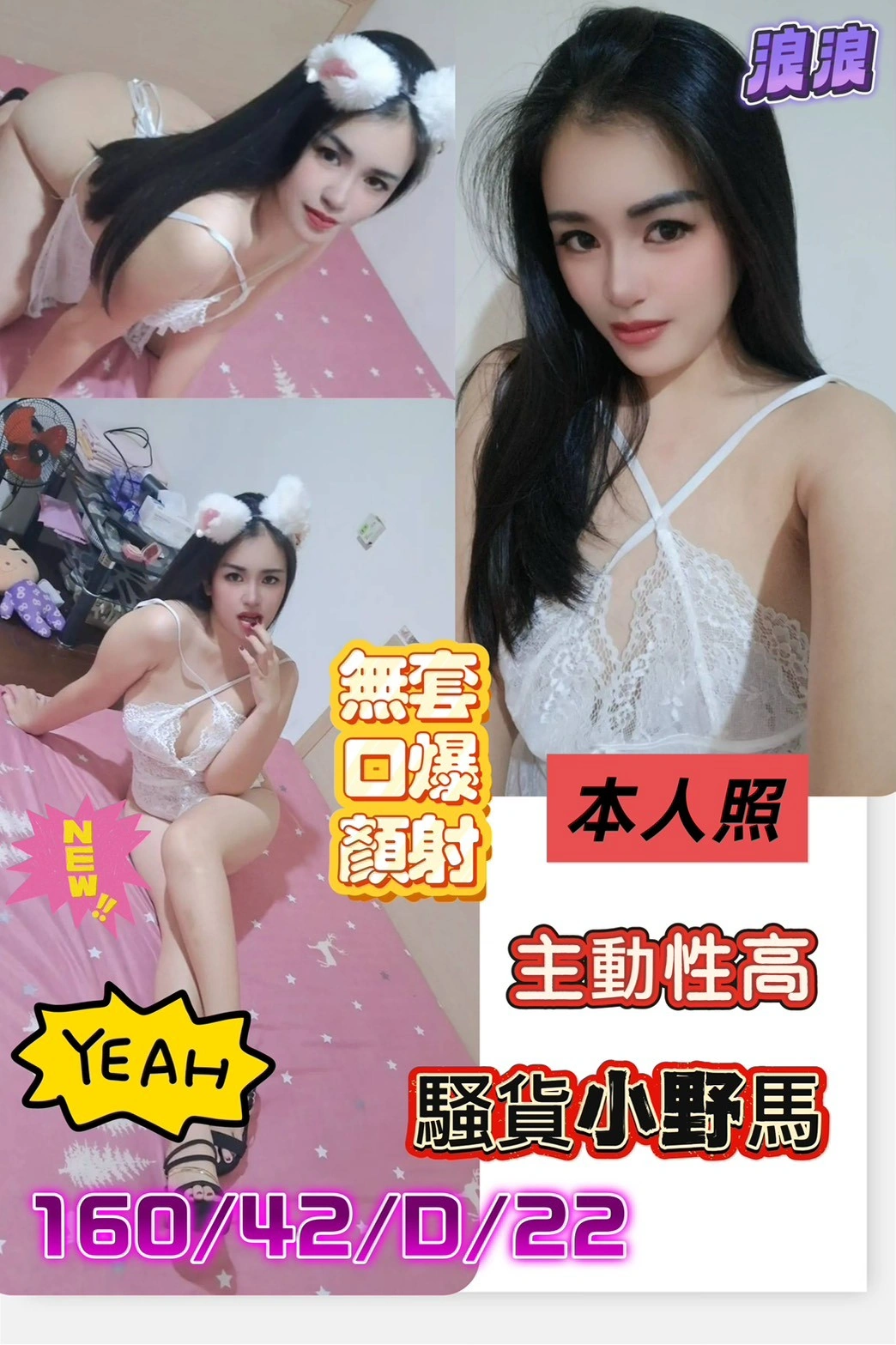 台南定點茶-浪浪/160/42/22/D 台南定點茶-浪浪/160/42/22/D