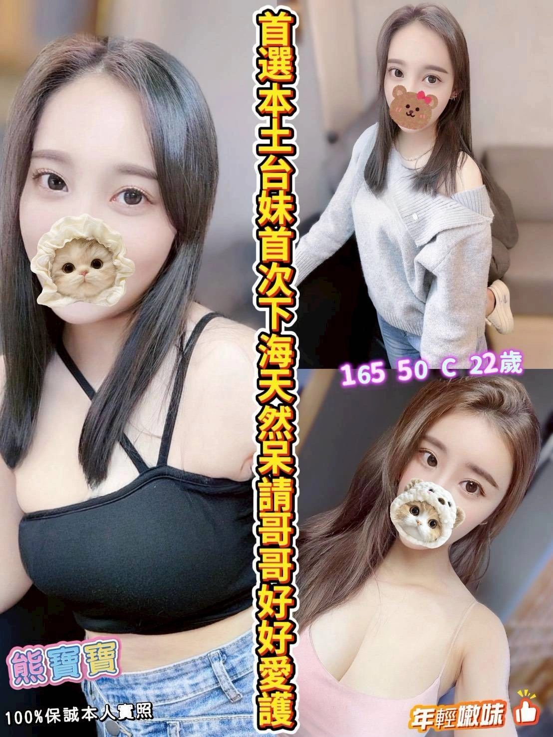 嘉義定點茶,外送茶-熊寶寶/165/50/22/C 嘉義定點茶,外送茶-熊寶寶/165/50/22/C