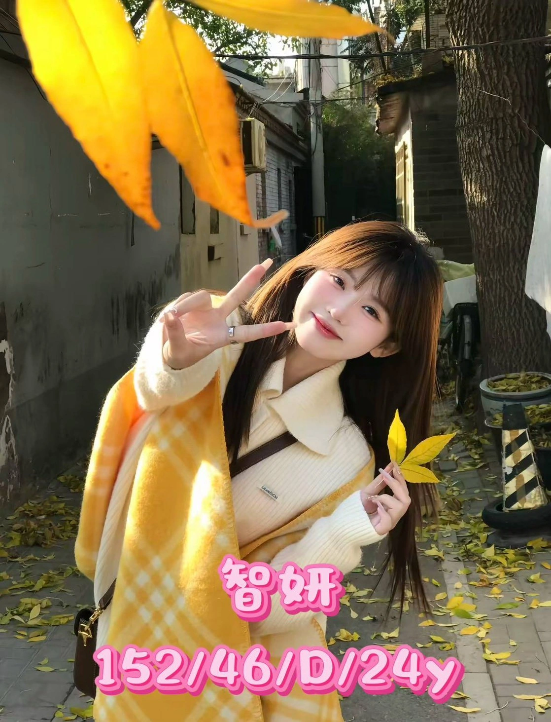 台中外送茶-智妍/152/46/24/D 台中外送茶-智妍/152/46/24/D