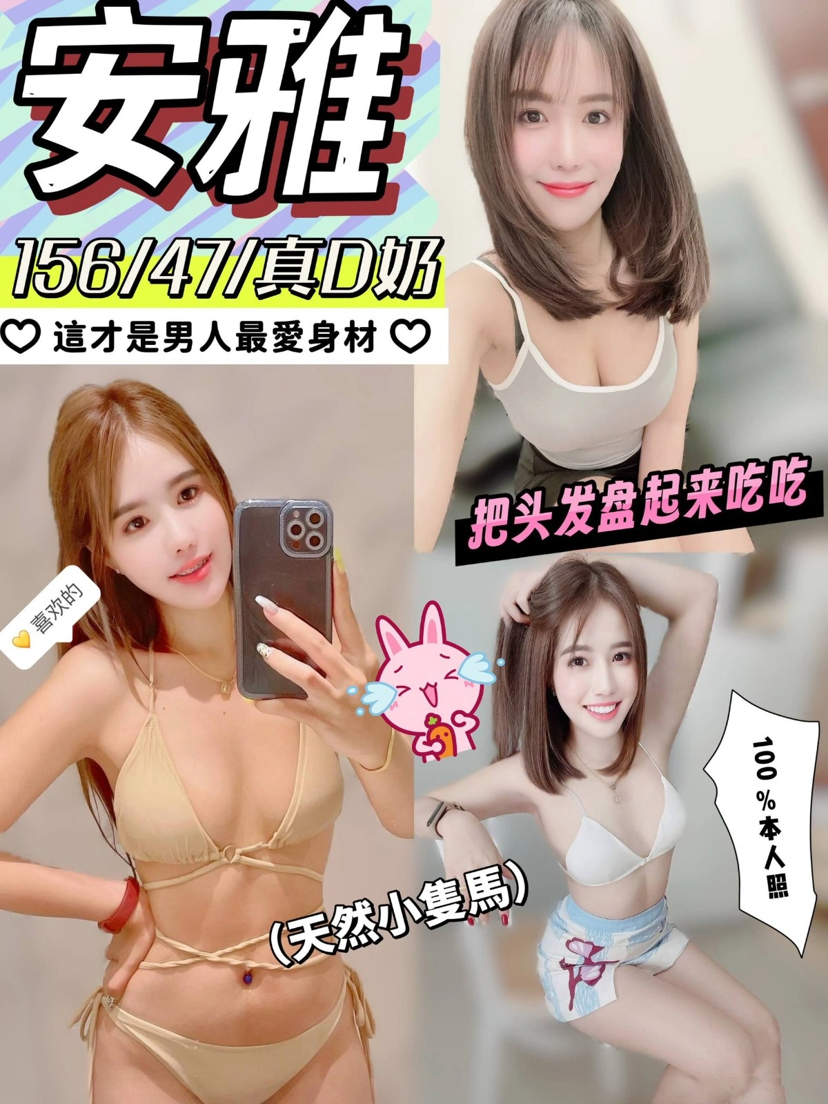 嘉義定點茶-安雅/156/47/?/D 嘉義定點茶-安雅/156/47/?/D