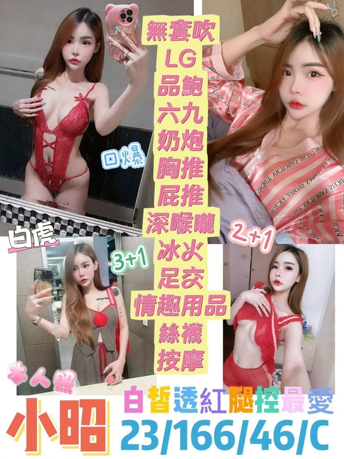 台東定點茶-小昭/166/46/23/C 台東定點茶-小昭/166/46/23/C