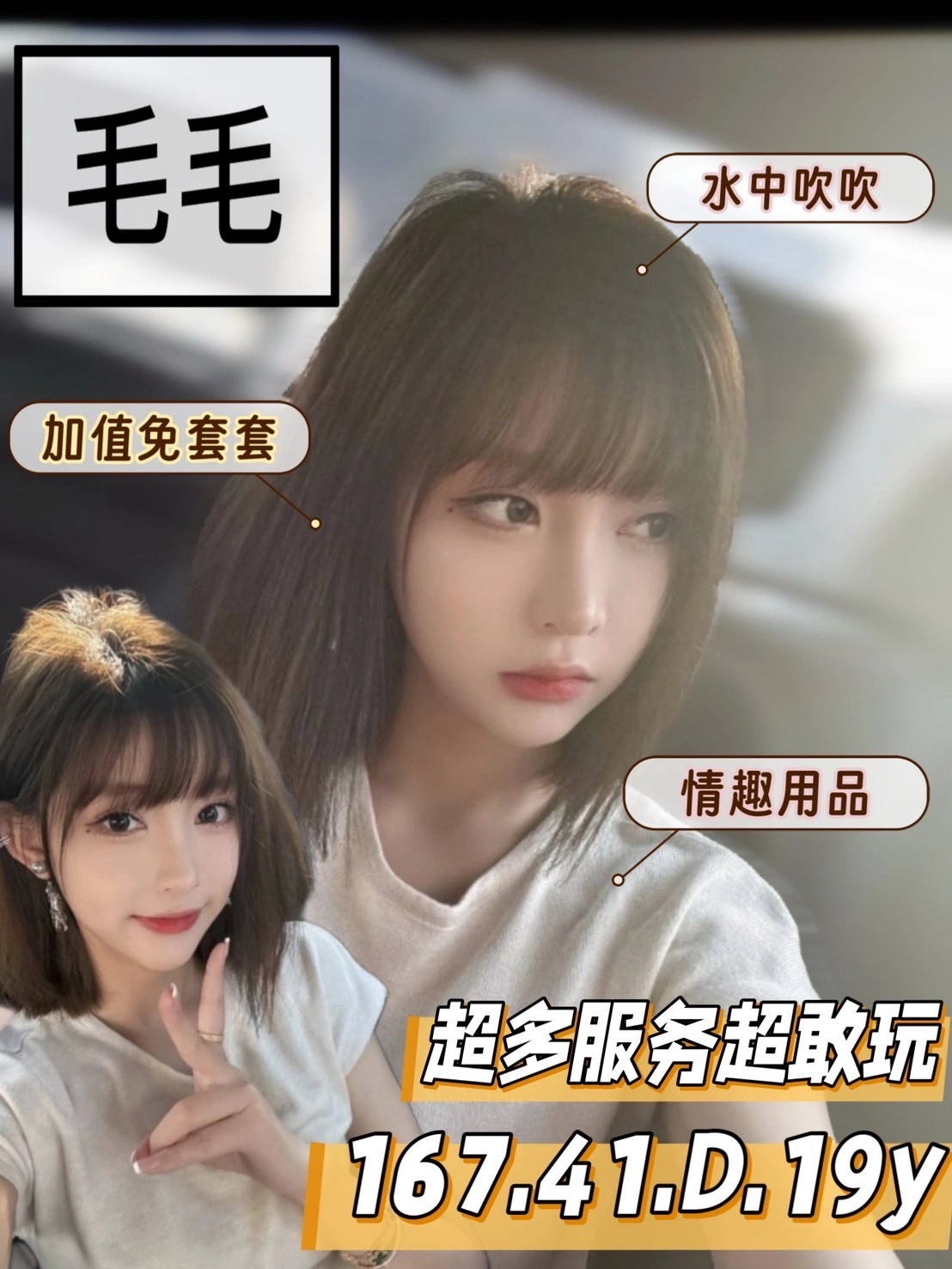 台南定點茶-毛毛/167/41/19/D 台南定點茶-毛毛/167/41/19/D