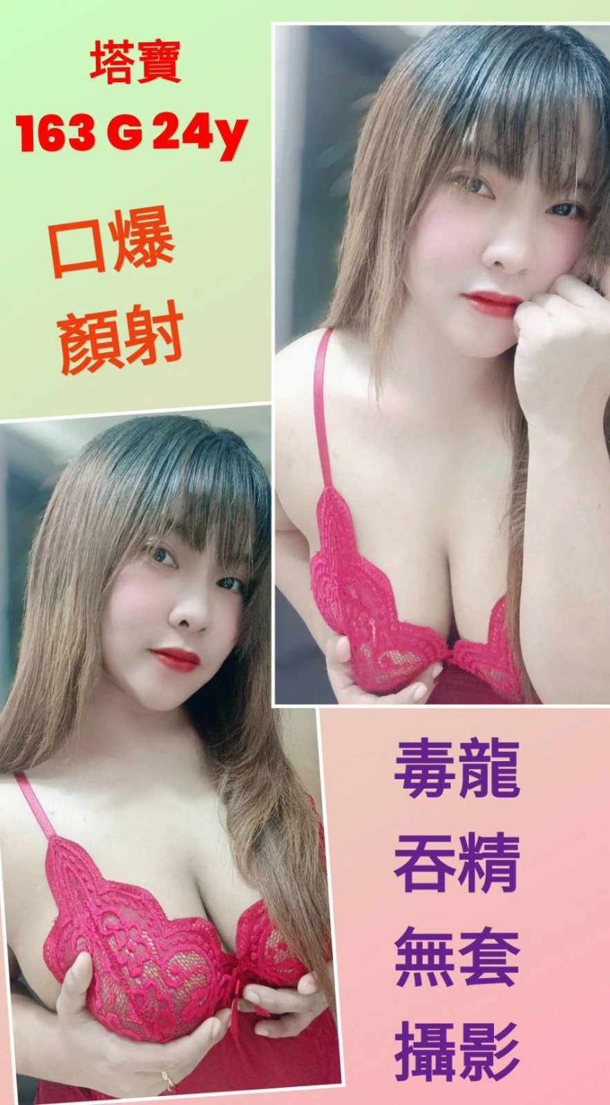 台北定點茶-塔寶/163/?/24/G 台北定點茶-塔寶/163/?/24/G