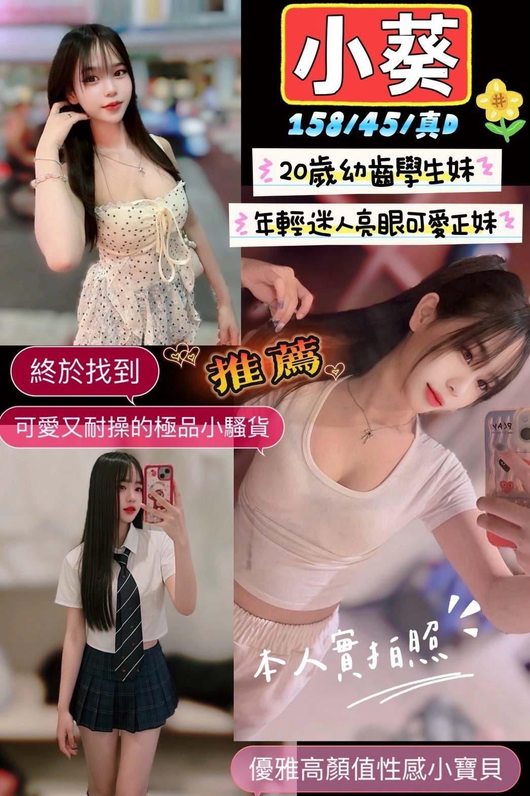 新竹定點茶-小葵/158/45/20/D 新竹定點茶-小葵/158/45/20/D