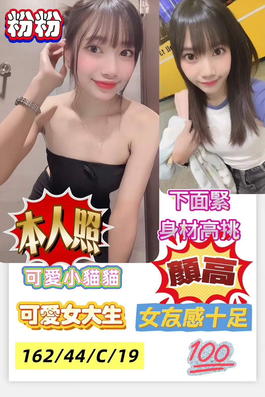 高雄定點茶-粉粉/162/44/19/C 高雄定點茶-粉粉/162/44/19/C