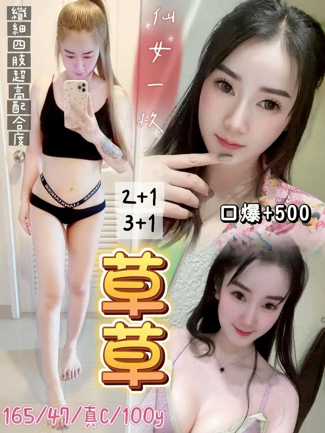 桃園定點茶-草草/165/47/?/C 桃園定點茶-草草/165/47/?/C