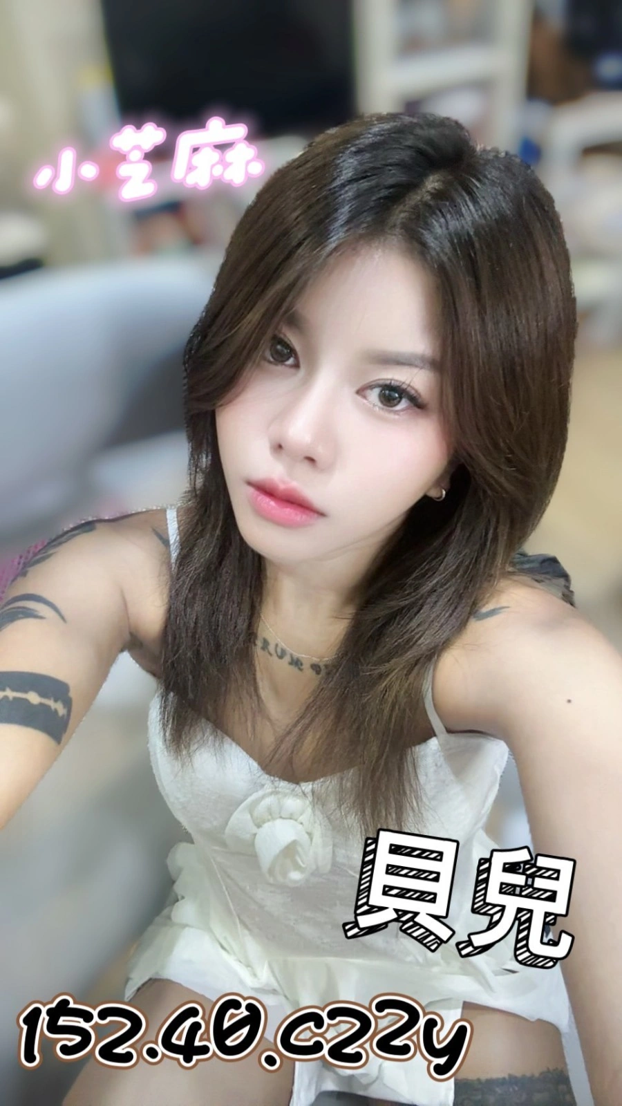 台北定點茶-貝兒/152/40/22/C 台北定點茶-貝兒/152/40/22/C