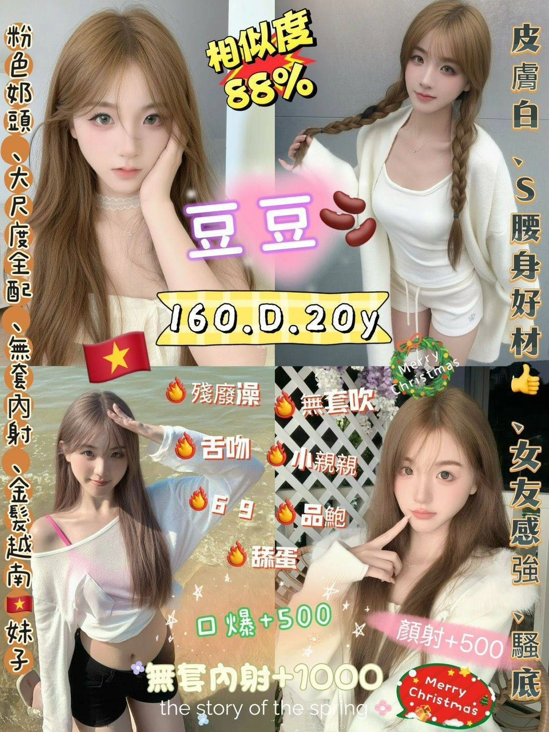 新北定點茶-豆豆/160/48/20/D 新北定點茶-豆豆/160/48/20/D