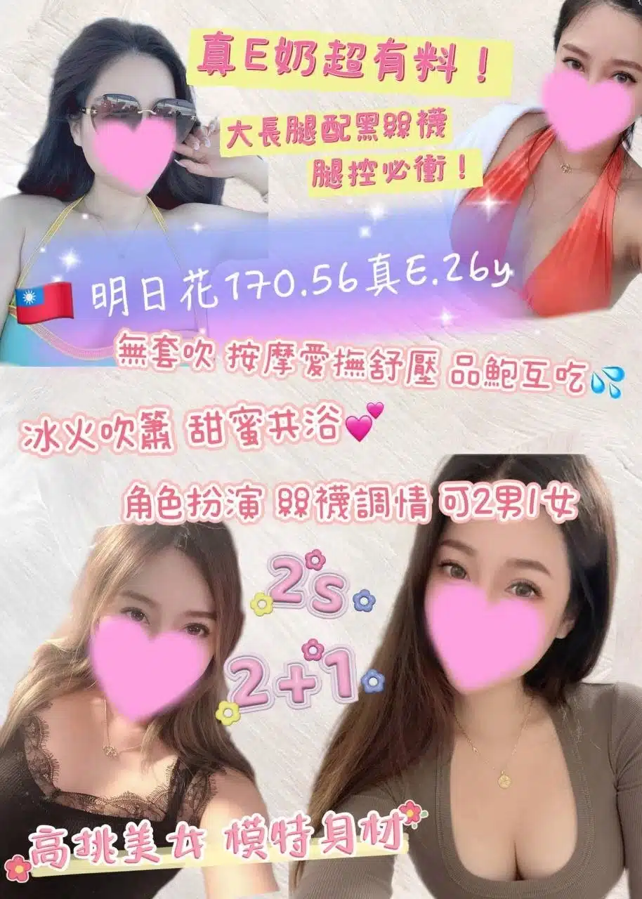 桃園定點茶-明日花/170/56/26/E 桃園定點茶-明日花/170/56/26/E