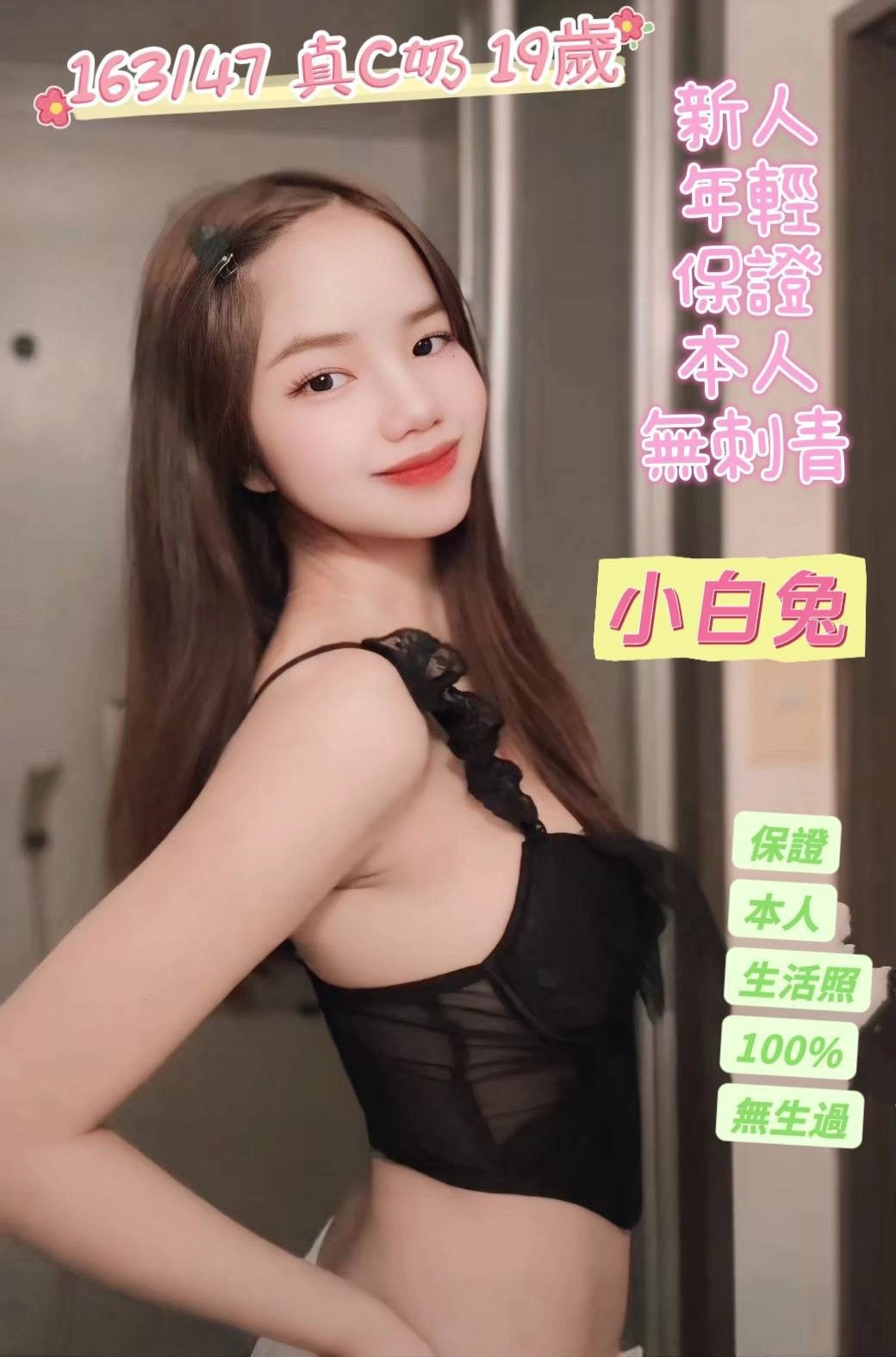 台南定點茶-小白兔/163/47/19/C 台南定點茶-小白兔/163/47/19/C